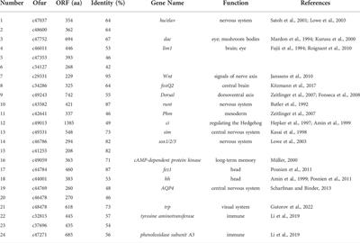 Identification of sex-biased and neurodevelopment genes via brain transcriptome in Ostrinia furnacalis